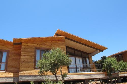 Fotografie z fotogalerie ubytování Ajloun Forest Reserve v destinaci Džaraš