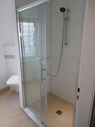 a glass shower in a bathroom with a toilet at Zimmer Müller in Wesseling