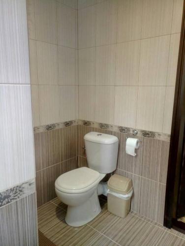 a bathroom with a toilet and a roll of toilet paper at VULYK z MEDOM in Bukovel