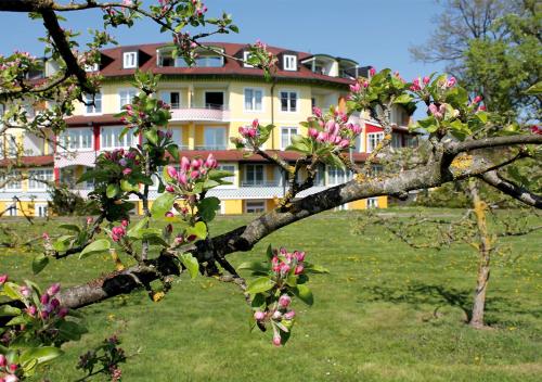 a tree with pink flowers in front of a building at Hotel am Haslinger Hof in Bad Füssing