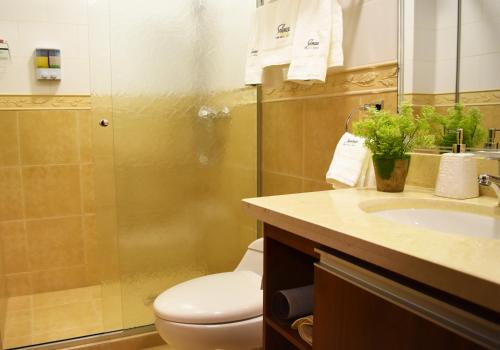 W łazience znajduje się toaleta, umywalka i prysznic. w obiekcie Apart Hotel Selenza w mieście Cochabamba
