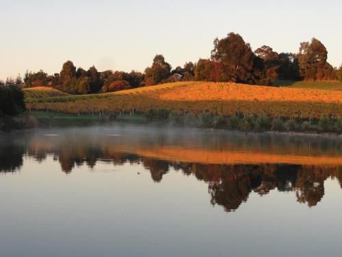 a misty lake with trees in the background at Pine Hill Lodge In Vineyard in Mapua