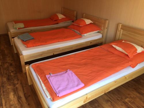 オロシュハーザにあるRoland Hostelのベッド2台(オレンジのシーツ、紫の袋付)