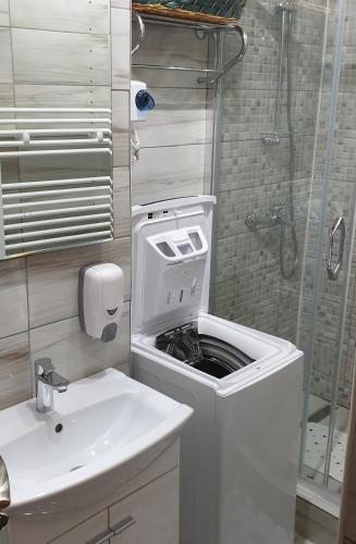 a bathroom with a toilet and a sink and a shower at Garsoniera 1 decembrie in Alba Iulia