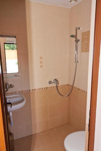 a bathroom with a shower and a toilet and a sink at Hotel Fantasy in Lyubimets