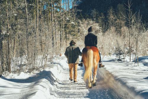 a man riding a horse down a snow covered road at POST Family Resort in Unken