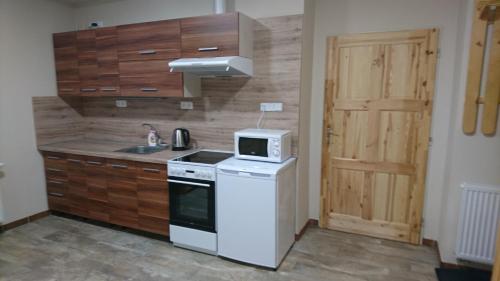 ジャンベルクにあるApartmán Žamberkの白い冷蔵庫と電子レンジのあるキッチン