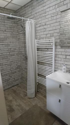 ein Badezimmer mit einem weißen Duschvorhang und einem Waschbecken in der Unterkunft Apartmán Žamberk in Žamberk