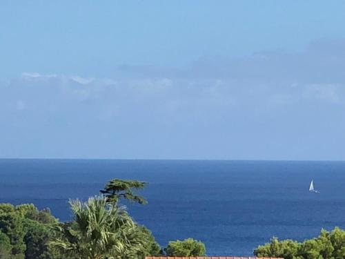 a sail boat in the ocean with a tree at Scopello Guidaloca Villas in Scopello