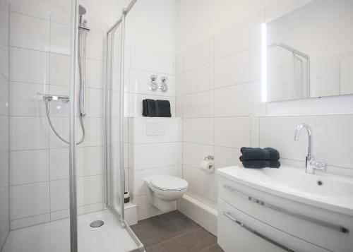 een badkamer met een douche, een toilet en een wastafel bij Gipfelstürmer in Winterberg