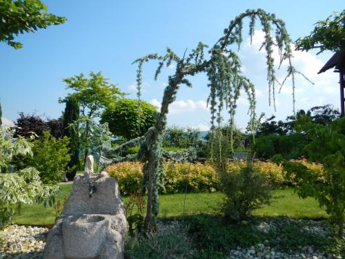 a garden with a tree and a stone fence at Weingut Essgut Schlafgut Sabathihof-Dillinger in Glanz an der Weinstraße 