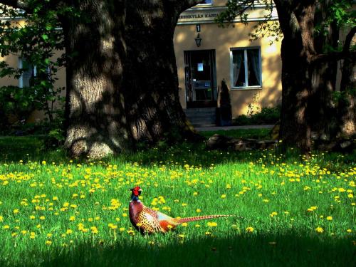 Jardin de l'établissement Hämeenkylän Kartano