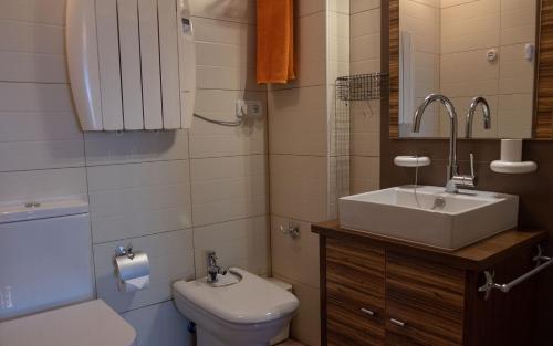 Formentera de SeguraにあるPiso Hacoのバスルーム(トイレ、洗面台付)