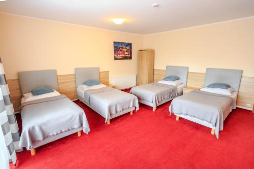 four beds in a room with a red carpet at Botanik Hostel in Poznań