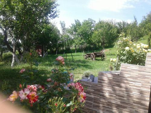 Taman di luar Casa 4 Anotimpuri