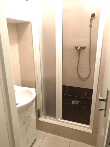 a bathroom with a shower and a sink at Old Town Apartments R11 in Olomouc