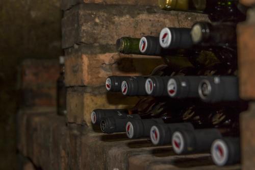 a row of wine bottles on a brick wall at Penzion U maléřa in Hroznová Lhota