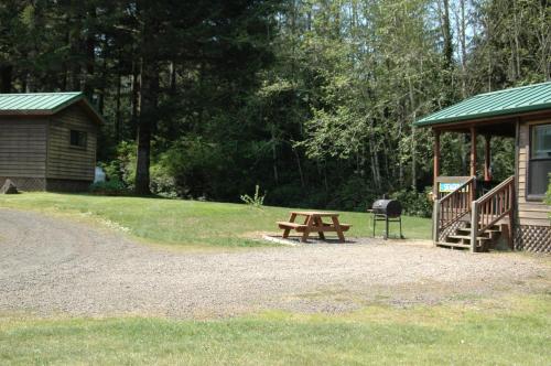 a picnic table and a grill next to a cabin at Park Motel and Cabins in Florence