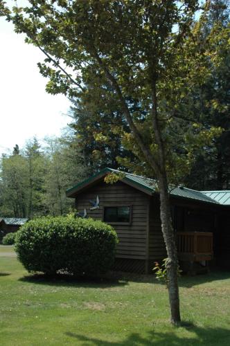 a small cabin in a yard with a tree at Park Motel and Cabins in Florence