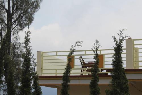 a bench sitting on top of a building with trees at Bromo Otix Guest House in Bromo