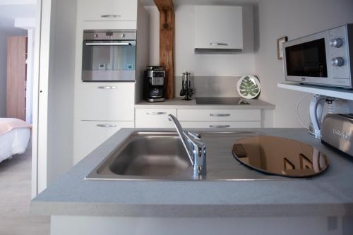 a kitchen with a sink and a microwave at 1834&Spa Colmar in Colmar