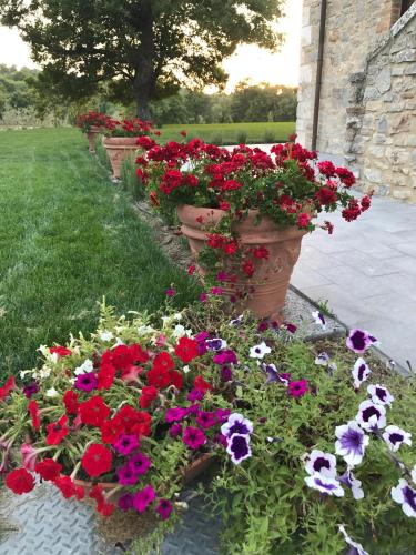 a row of flower pots with red and purple flowers at BelSentiero in Campiglia dʼOrcia