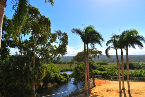 a view of a river with palm trees at Tropical Casa Laguna in Cabarete