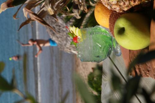 a close up of a plant with a flower in a bottle at Maria Beach Hotel in Kissamos