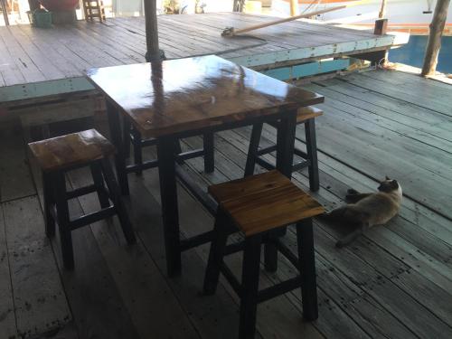 a cat sitting next to a wooden table and chairs at Rub Lom Chom Klong Homestay in Chumphon