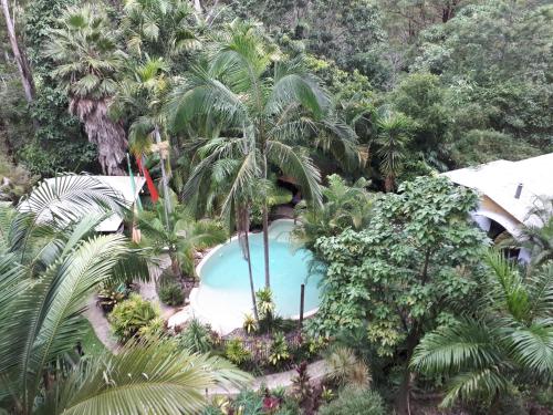 an overhead view of a swimming pool in a forest at Alaya Ascend in Eudlo