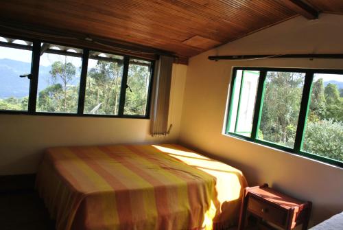 1 dormitorio con 2 ventanas y 1 cama. en Parque Verde y Agua, en Fusagasuga