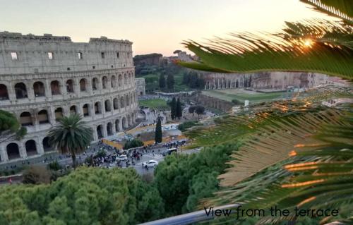 Colosseum Palace Star – Photos 5