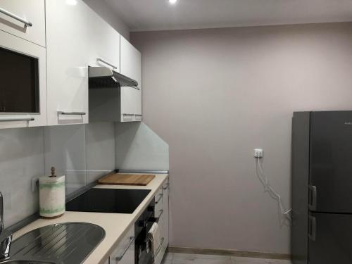a kitchen with a sink and a black refrigerator at Apartamenty ALICJA in Dzierżoniów