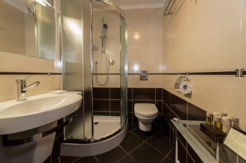 a bathroom with a shower and a sink and a toilet at Centrum Wypoczynkowo-Konferencyjne Solaris in Łazy