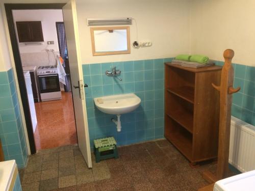 La salle de bains est pourvue d'un lavabo et de toilettes. dans l'établissement Rodinná chalupa jen pro sebe, à Harrachov