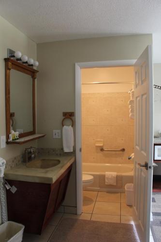 a bathroom with a tub and a sink and a toilet at Bybee's Steppingstone Motel in Tropic