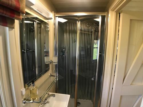 a bathroom with a shower and a sink and a mirror at The Rowan Shepherds Hut in Eyemouth