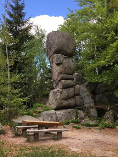 a picnic table and a rock formation in the woods at WEITBLICK "entspannen - wohlfühlen - aktiv erholen" in Elzach