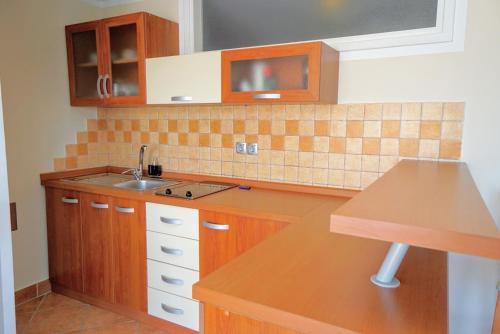 a kitchen with wooden cabinets and a sink at Apartments Kristijana in Crveni Vrh