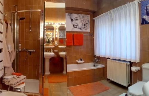 a bathroom with a shower and a toilet and a sink at La Pastorale Brussels Expo in Wemmel