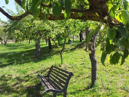 Κήπος έξω από το Agriturismo La Ginestra