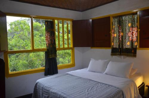 um quarto com uma cama e duas janelas em Pouso da Passagem B&B em Mariana