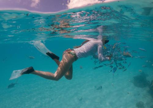 a person swimming in the water in the ocean at Island Home Inn in Ukulhas
