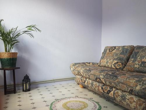 uma sala de estar com um sofá e um vaso de plantas em Ethnic House in Town Center em Cahul