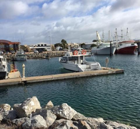 a group of boats docked at a dock in the water at Port Lincoln Shark Apartment 3 in Port Lincoln