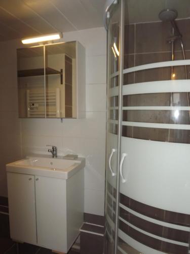 een badkamer met een wastafel en een douche met een spiegel bij Studio La Muzelle Bourg d'Oisans in Le Bourg-dʼOisans
