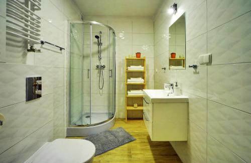 カルパチにあるPrzystanek Jaśmin.のバスルーム(シャワー、トイレ、シンク付)