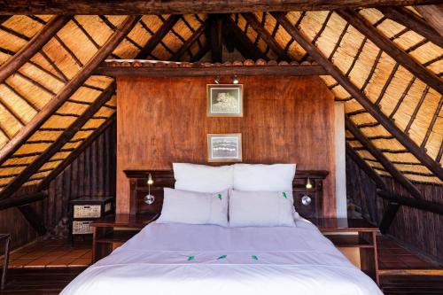 Chameleon Backpackers & Guesthouse tesisinde bir odada yatak veya yataklar