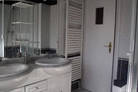 une salle de bain avec deux lavabos et un grand miroir dans l'établissement BEL APPARTEMENT LUMINEUX, à Colmar