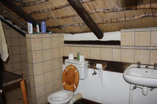 a bathroom with a toilet and a sink at Roy's Rest Camp in Groutfontein